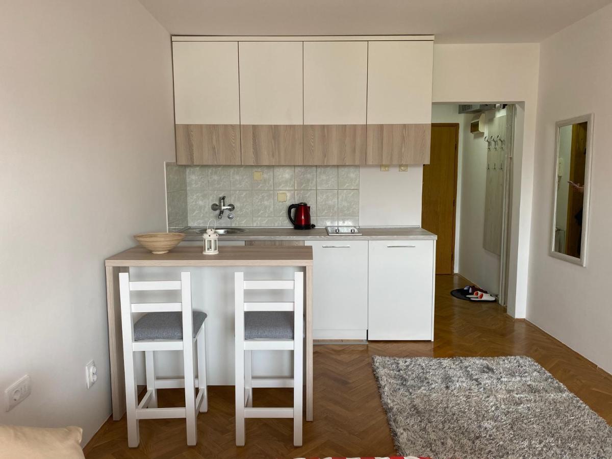 Apartmán Vila Sportova Zlatibor Exteriér fotografie